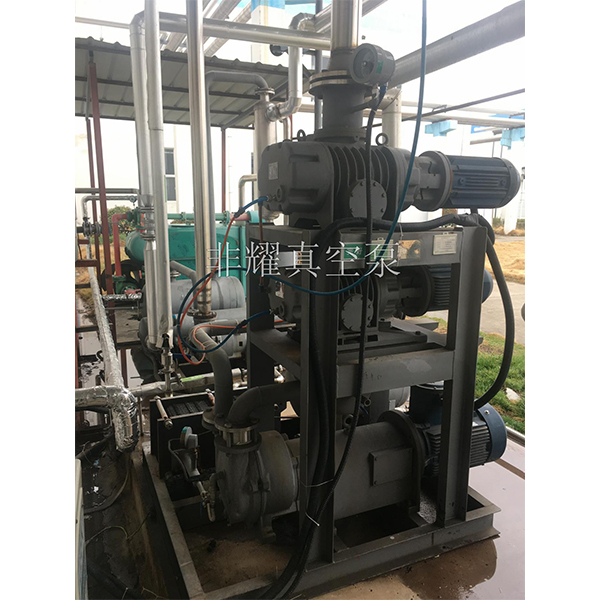 罗茨真空泵机组型号