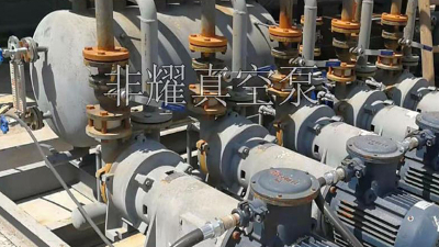 固定不锈钢水环真空泵，这篇文章写的淋漓尽致【非耀】