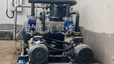 要检查2BV水环真空泵就不能只是这样【非耀】