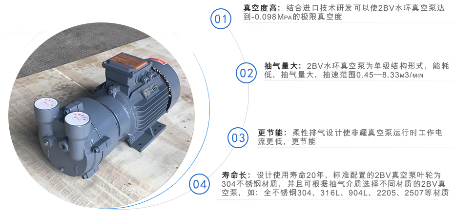 2BV系列水环式真空泵