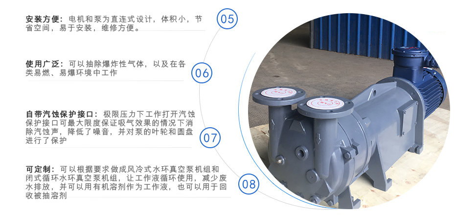 2BV系列水环式真空泵