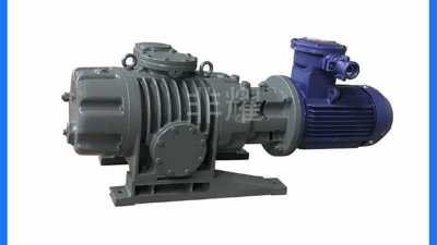 学会判断罗茨真空泵发热是否正常【非耀】