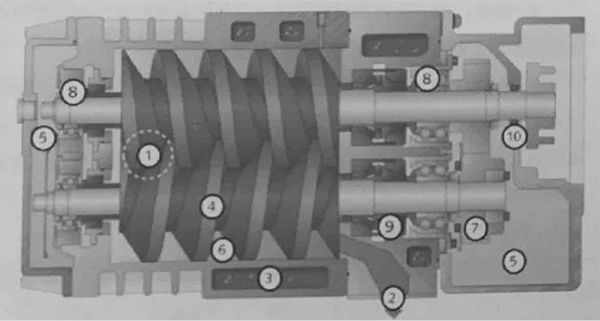 螺杆真空泵结构图