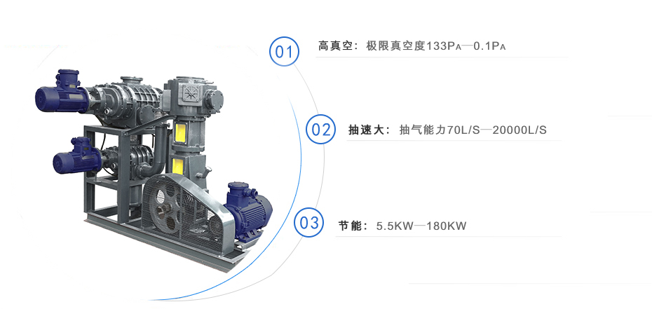 罗茨泵+无油往复真空泵机组