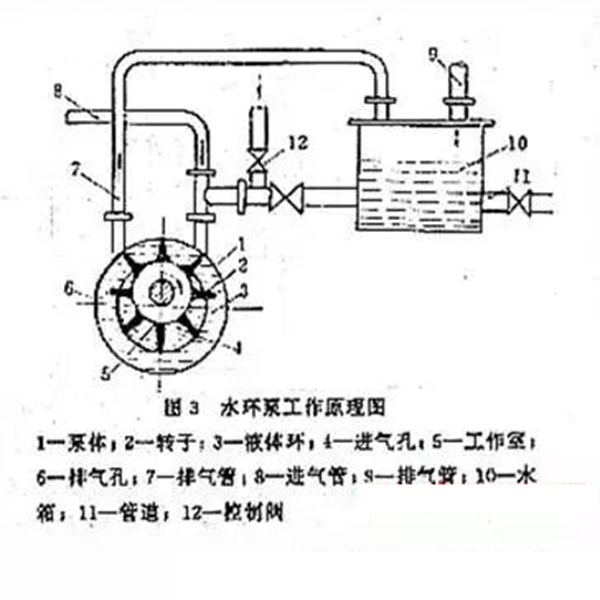 水环真空泵结构