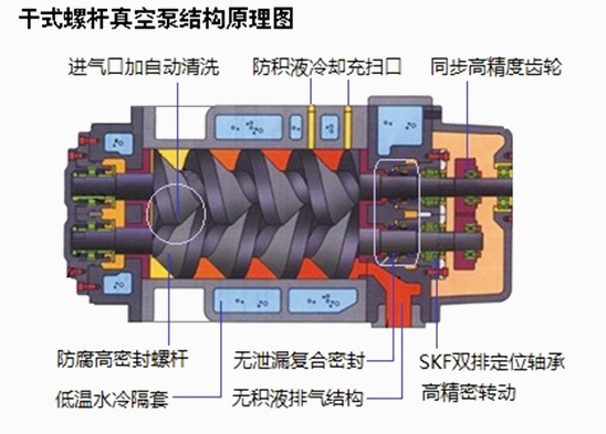 螺杆真空泵构造图