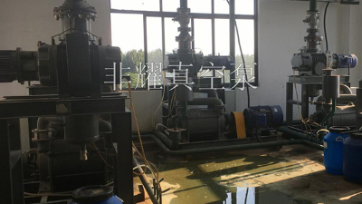 保养好ZJP罗茨真空泵排气滤芯【非耀】