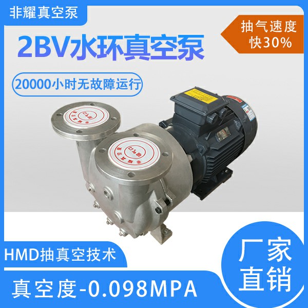 2bv5111水环真空泵