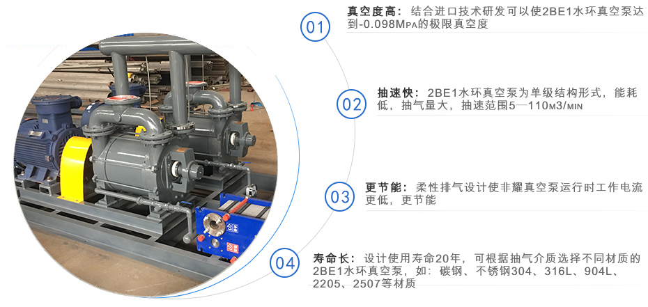 2BE1系列水环式真空泵