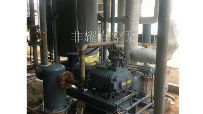 变螺距螺杆真空泵损坏做好提前预防【非耀】