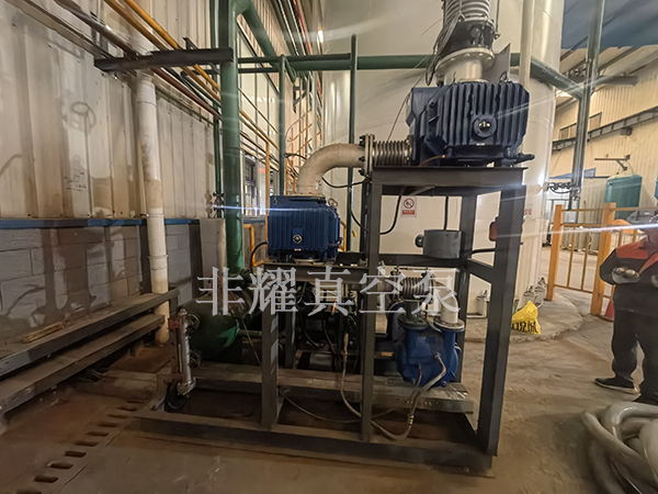 罗茨泵水环真空泵机组