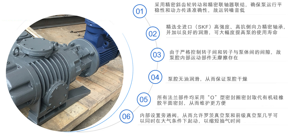 ZJP罗茨真空泵